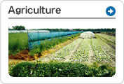 Agriculture