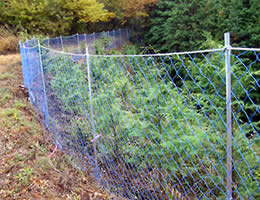 Anti-Vermin Netting